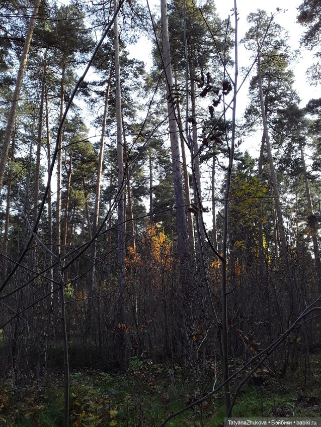 "Осенний поцелуй после жаркого лета..."