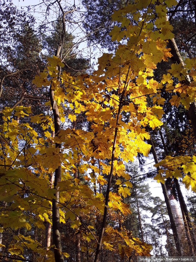 "Осенний поцелуй после жаркого лета..."