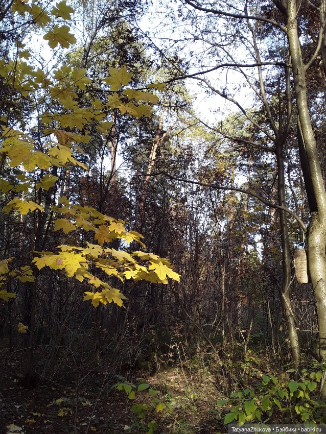 "Осенний поцелуй после жаркого лета..."