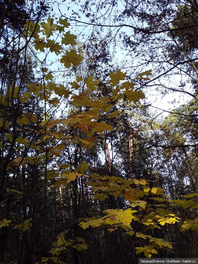 "Осенний поцелуй после жаркого лета..."