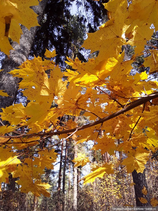 "Осенний поцелуй после жаркого лета..."