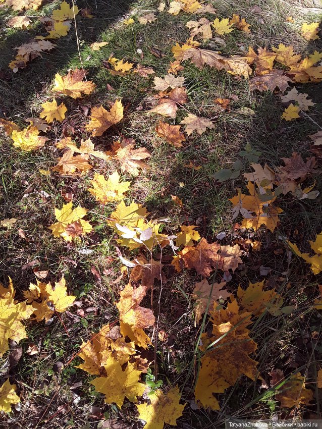 "Осенний поцелуй после жаркого лета..."