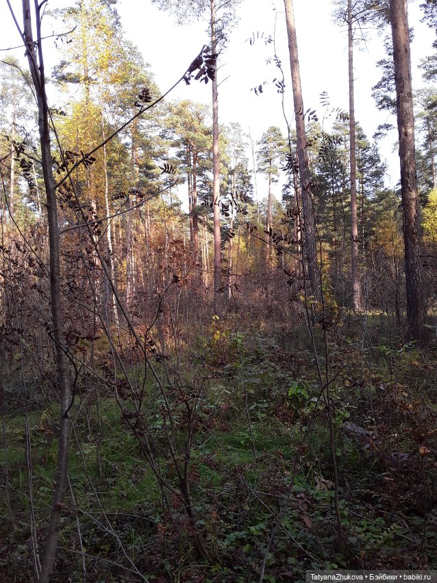 "Осенний поцелуй после жаркого лета..."