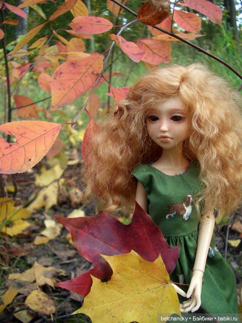 Осенний марафон — Болталка и разговоры обо всем: жизнь (фото 7)