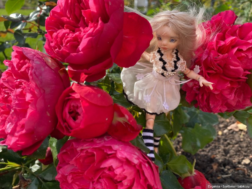 Ода единственной кукле — Авторские куклы BJD (БЖД) у нас дома: фото (фото 4)