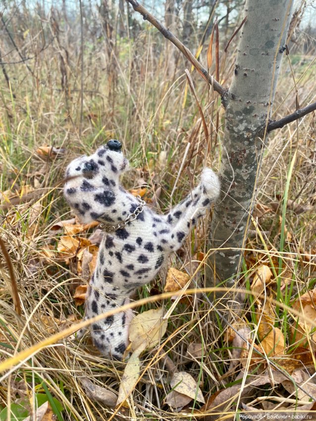 Далматинец Оскар — Вязаные игрушки и амигуруми: крючком (фото 4)