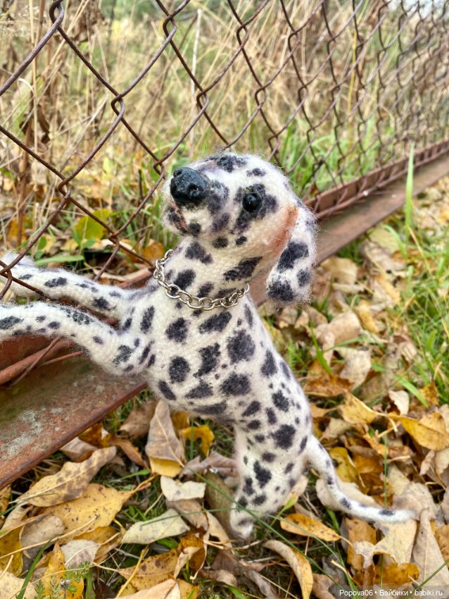 Далматинец Оскар — Вязаные игрушки и амигуруми: крючком (фото 10)