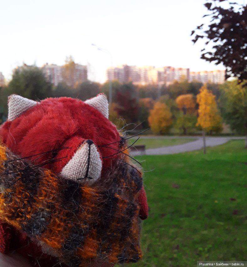 Краски осени и Мистер Лис