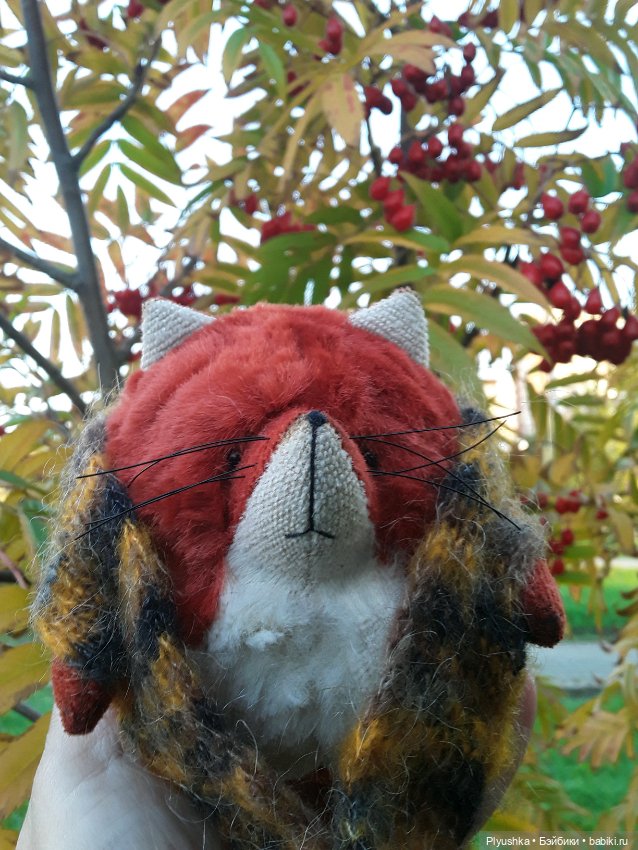 Краски осени и Мистер Лис (фото 7)