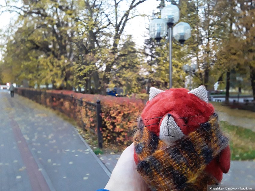 Краски осени и Мистер Лис (фото 3)