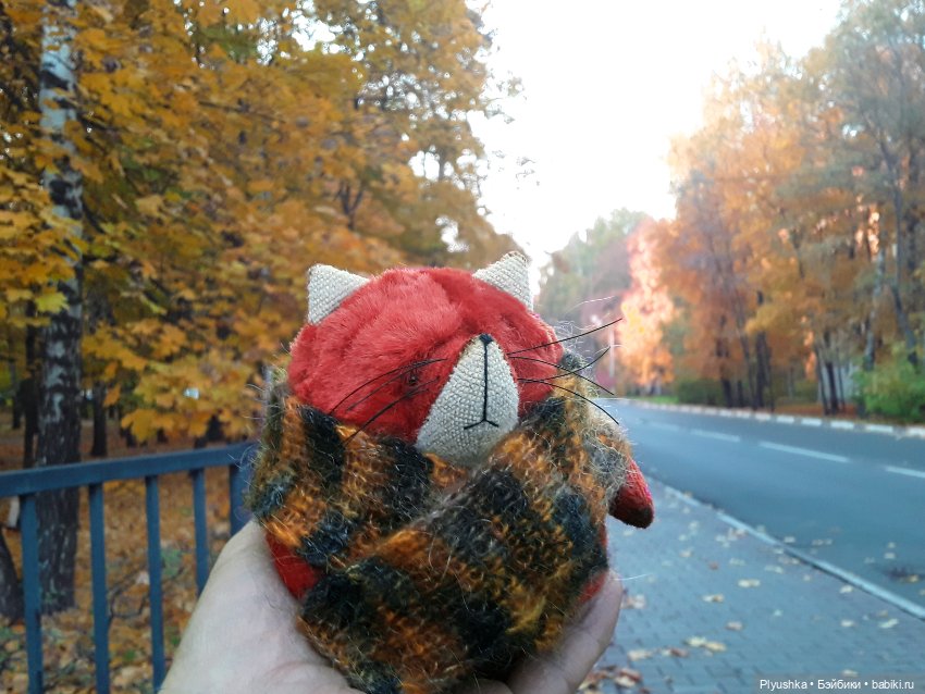 Краски осени и Мистер Лис