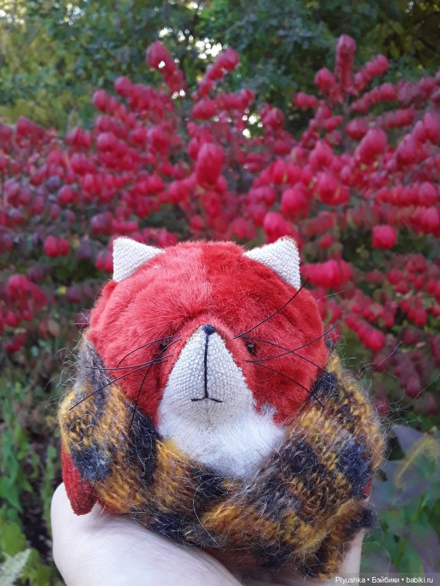 Краски осени и Мистер Лис