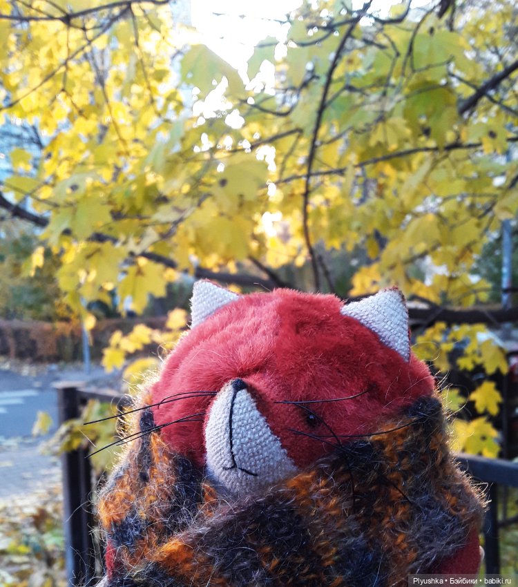 Краски осени и Мистер Лис (фото 4)