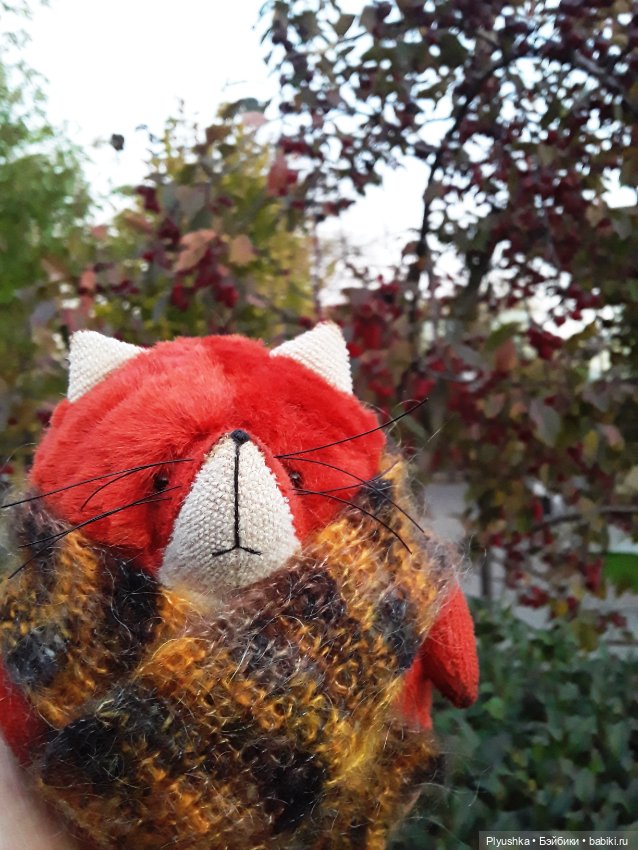 Краски осени и Мистер Лис