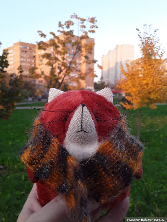 Краски осени и Мистер Лис