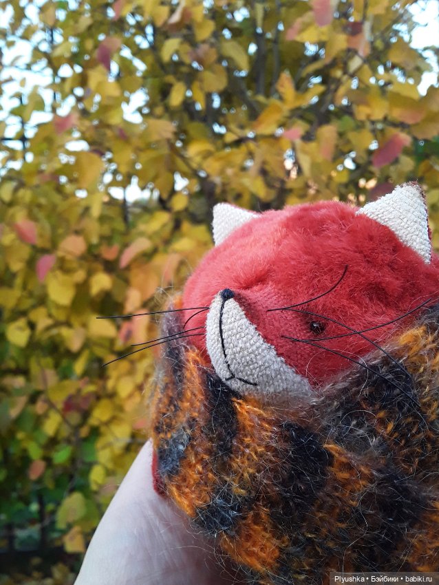 Краски осени и Мистер Лис