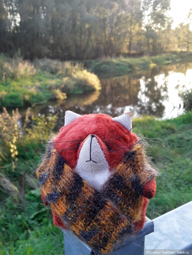 Краски осени и Мистер Лис (фото 10)