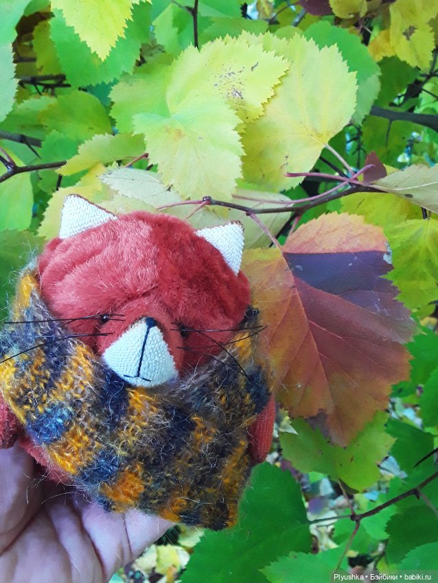 Краски осени и Мистер Лис