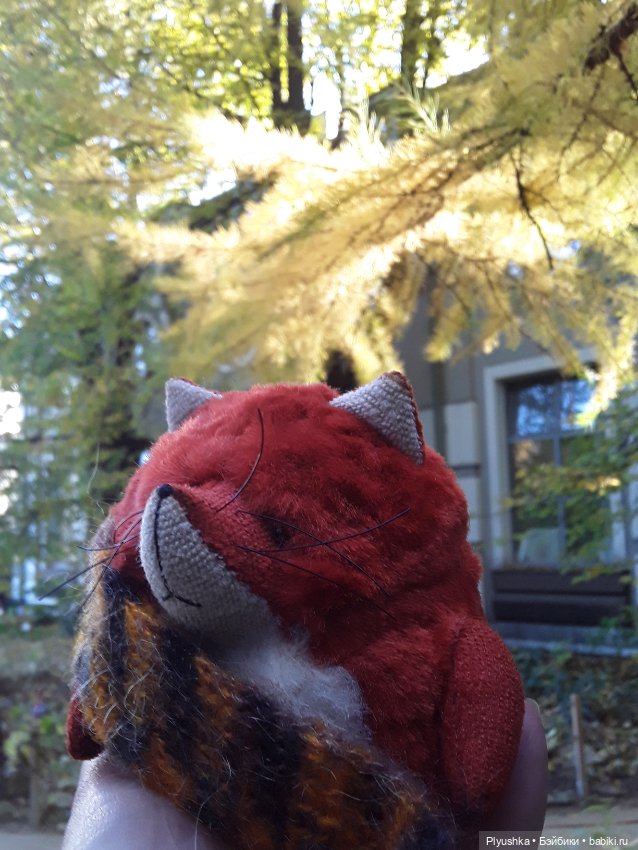 Краски осени и Мистер Лис