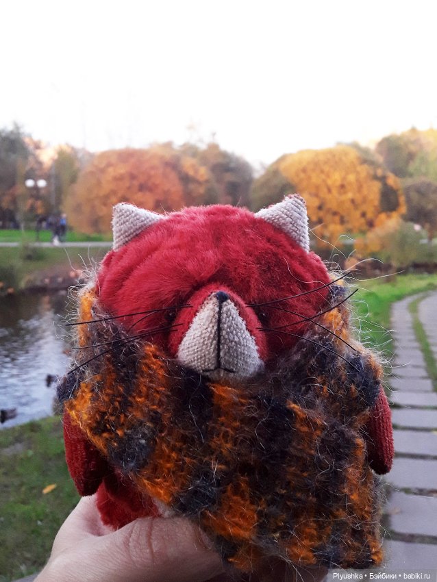 Краски осени и Мистер Лис