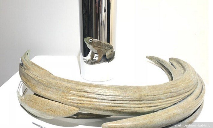 Обман зрения в скульптурах Jonty Hurwitz