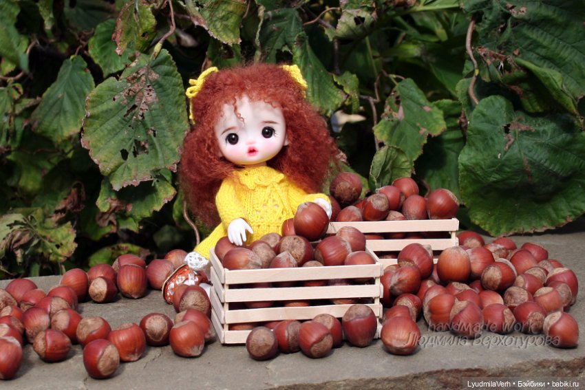 Сундучок, да непростой — Куклы Baboliy (Баболи (фото 3)