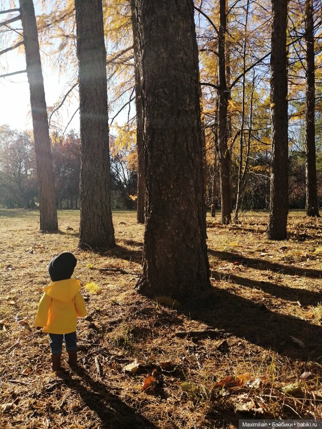 Осенний привет от Максимки! Негритенок СССР (фото 6)
