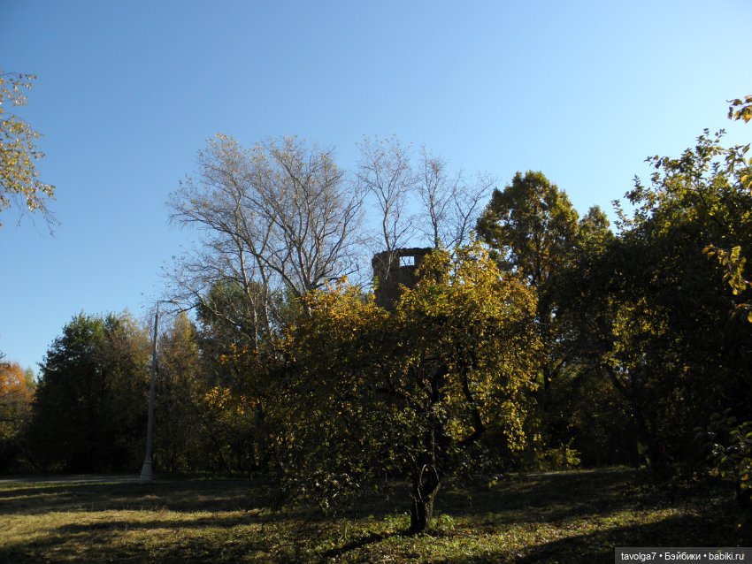 Василиса от Пластмастер и осень