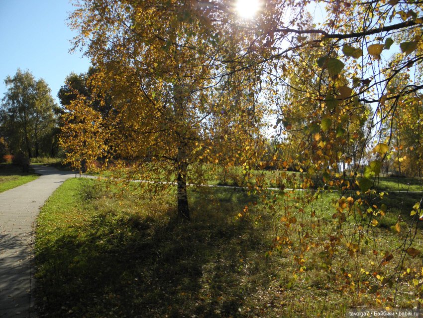 Василиса от Пластмастер и осень