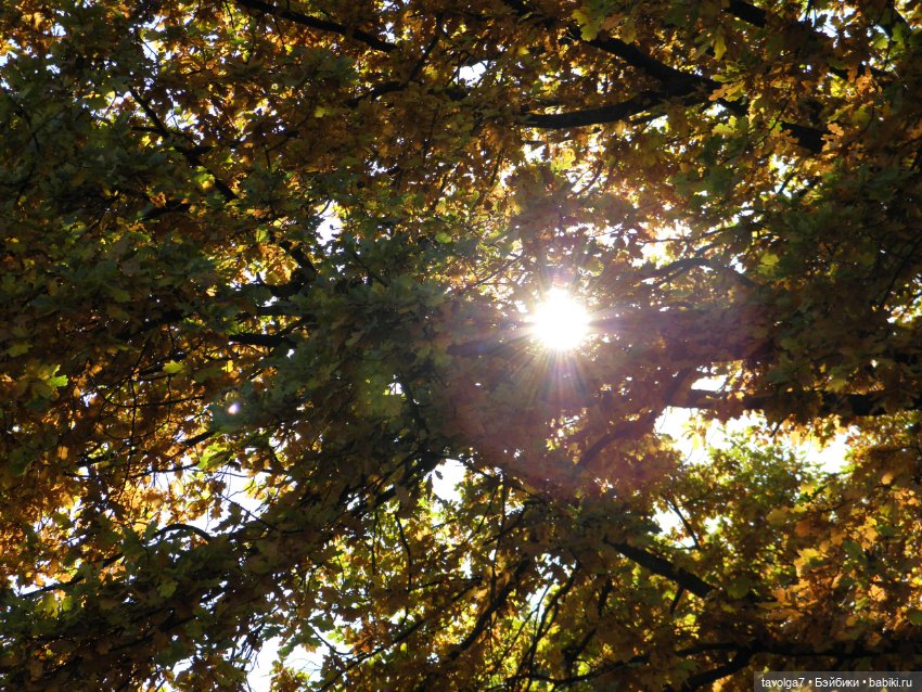 Василиса от Пластмастер и осень