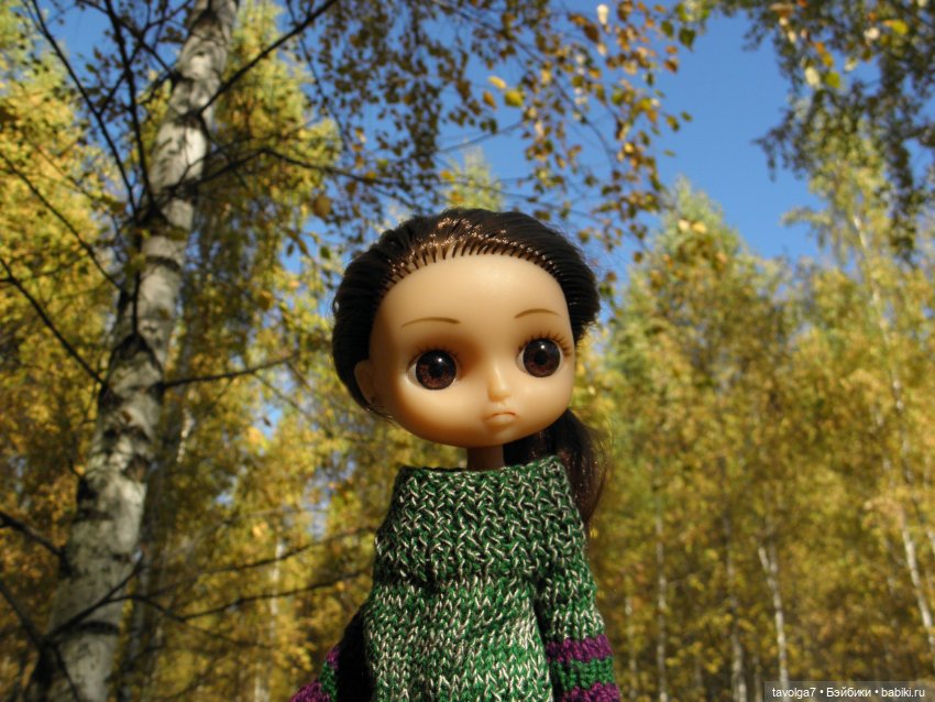 Василиса от Пластмастер и осень (фото 7)