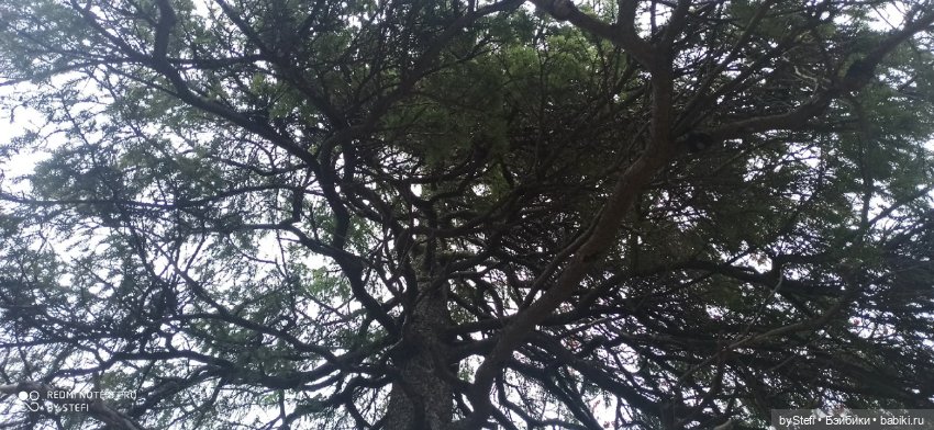 Приглашаю прогуляться по Заполярью :) 09.10.2021