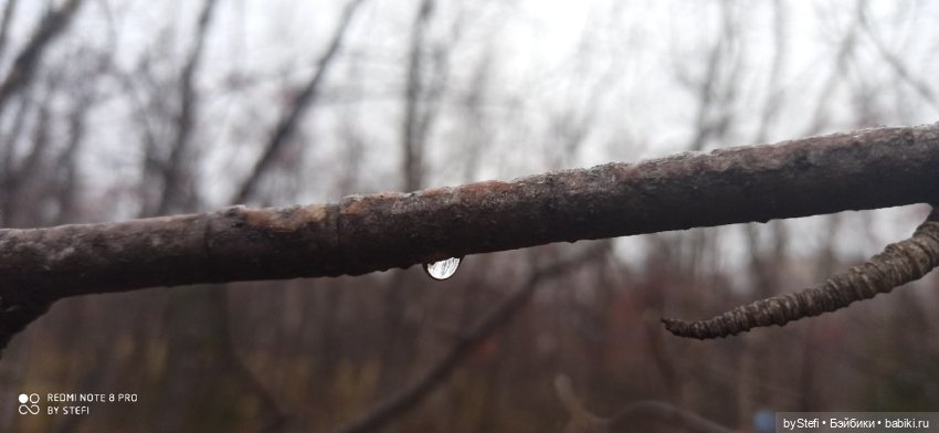 Приглашаю прогуляться по Заполярью :) 09.10.2021