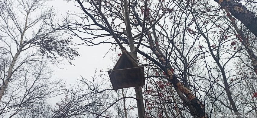 Приглашаю прогуляться по Заполярью :) 09.10.2021