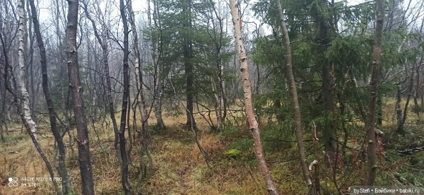 Приглашаю прогуляться по Заполярью :) 09.10.2021