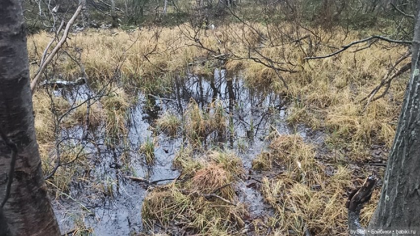 Приглашаю прогуляться по Заполярью :) 09.10.2021