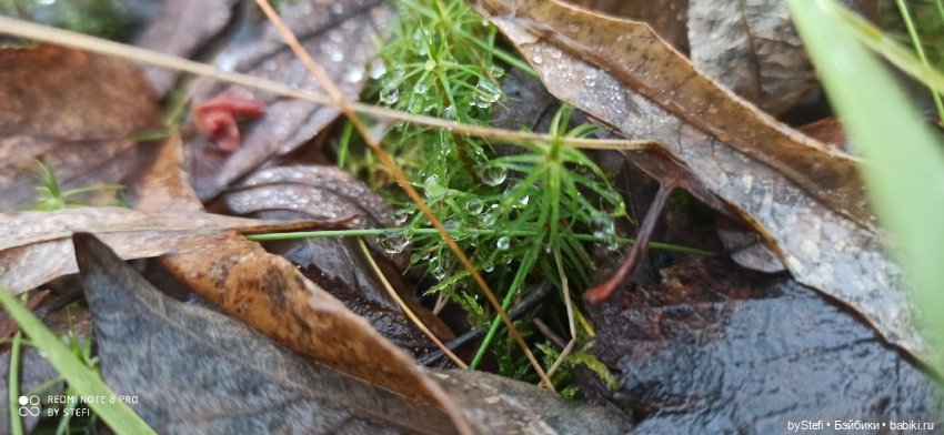 Приглашаю прогуляться по Заполярью :) 09.10.2021