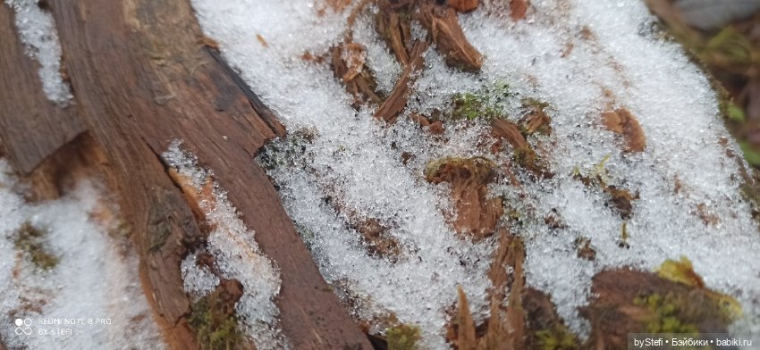 Приглашаю прогуляться по Заполярью :) 09.10.2021