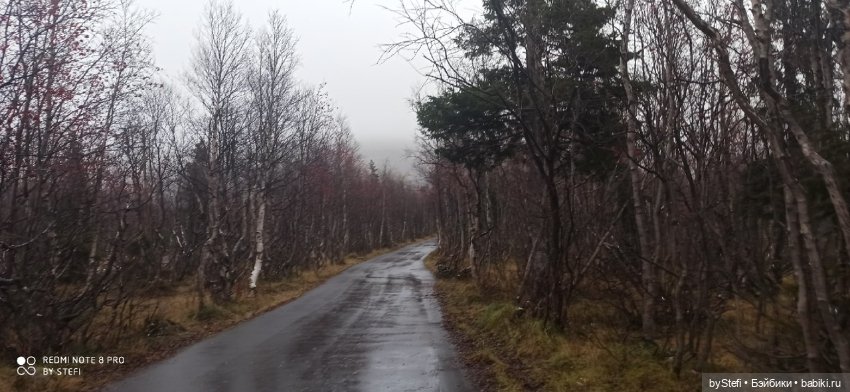 Приглашаю прогуляться по Заполярью :) 09.10.2021