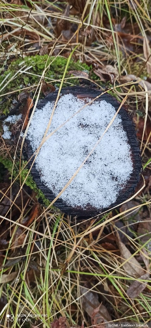 Приглашаю прогуляться по Заполярью :) 09.10.2021 (фото 2)