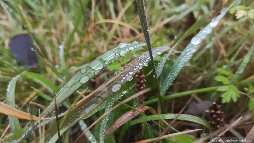 Приглашаю прогуляться по Заполярью :) 09.10.2021