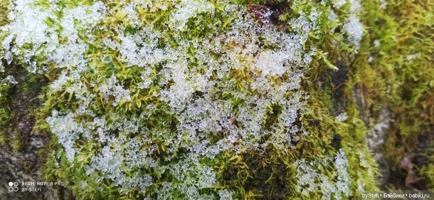 Приглашаю прогуляться по Заполярью :) 09.10.2021 (фото 10)