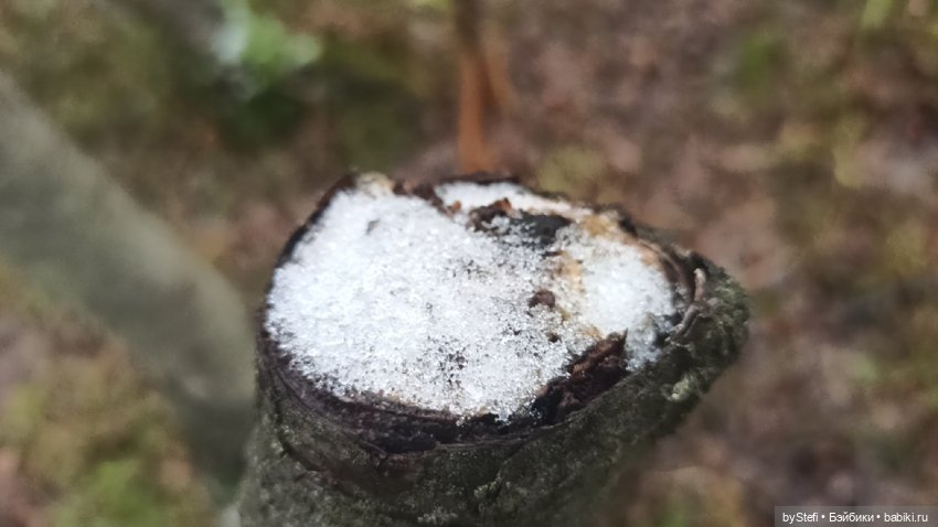 Приглашаю прогуляться по Заполярью :) 09.10.2021