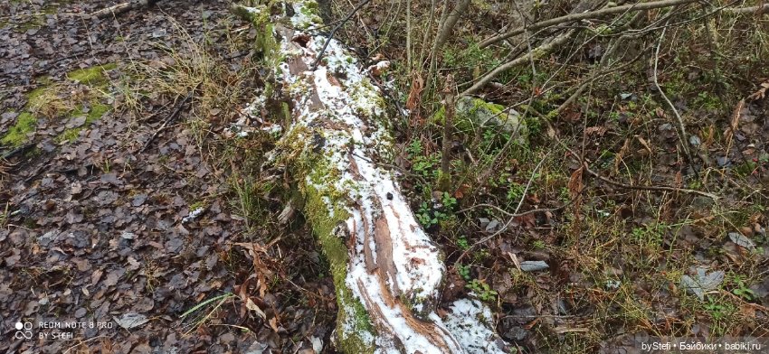 Приглашаю прогуляться по Заполярью :) 09.10.2021