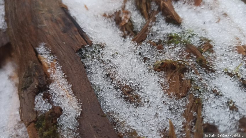 Приглашаю прогуляться по Заполярью :) 09.10.2021