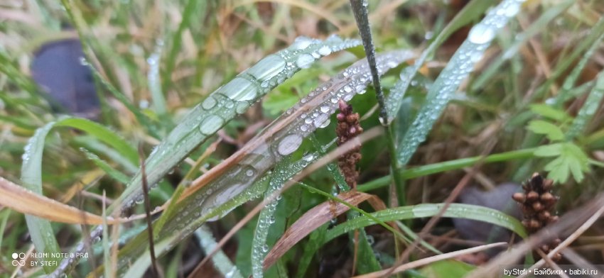 Приглашаю прогуляться по Заполярью :) 09.10.2021