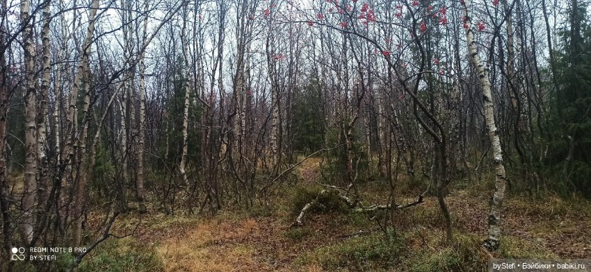 Приглашаю прогуляться по Заполярью :) 09.10.2021