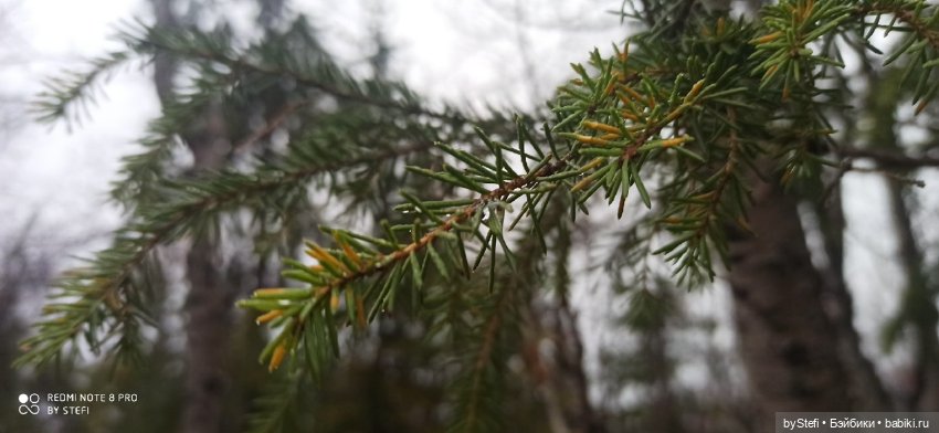 Приглашаю прогуляться по Заполярью :) 09.10.2021