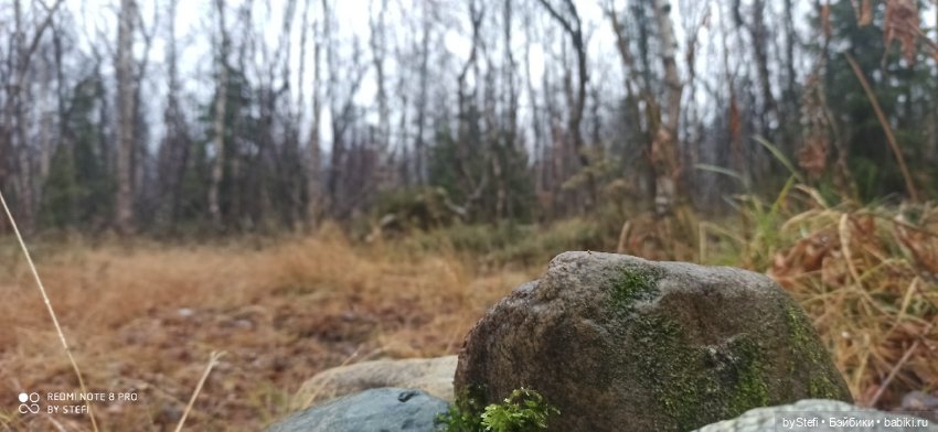 Приглашаю прогуляться по Заполярью :) 09.10.2021