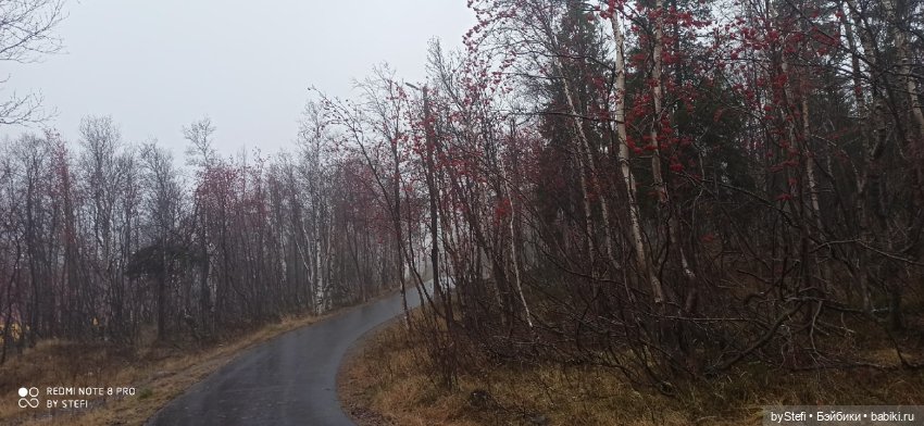 Приглашаю прогуляться по Заполярью :) 09.10.2021